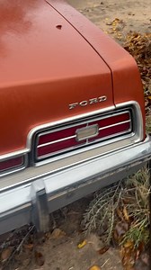 I found a barn find survivor 1973 Ford LTD! #junkyard #classiccar #barnfind #ford #patina #original | Adventures Made From Scratch