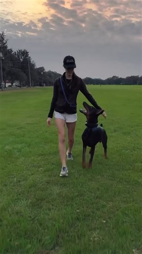 Dog Liability Insurance for Renters: Your Safety Plan