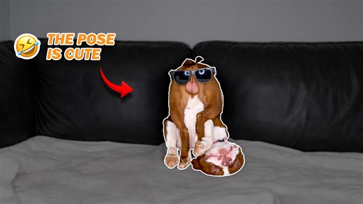 When the unexpected turns into a funny moment