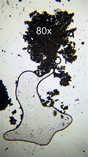 Chocolate Under a Microscope – Hidden Sweet World!