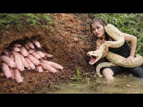 72 Hours Battling a Giant Python While Harvesting 1000+ Catfish for Market Survival! 🐍🐟