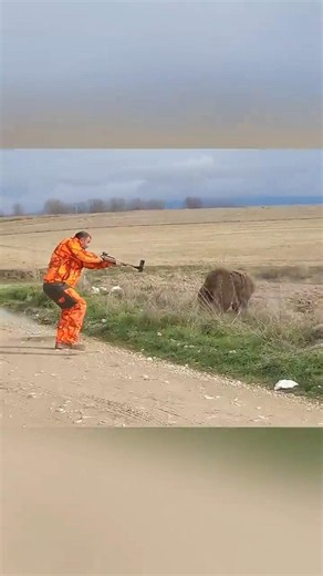 Giant Boar Hunting in Russia | Dangerous Forest Adventure