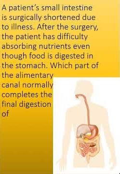 #Class 10 #Human digestion # Comment your answer # Education