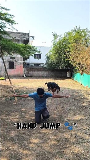 “Doberman Puppy Training 🔥 Hand Jump | Leg Jump | Speak Command”