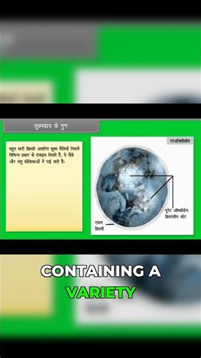 Microbodies: Enzyme-Filled Sacs of the Cell! 🔬