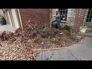 leaf removal time lapse - leaf clean up with blower- [relaxing time lapse] - (START TO FINISH)