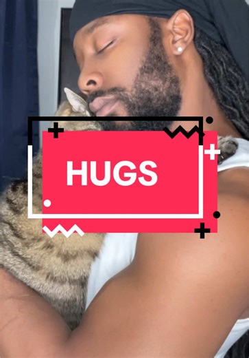 Cute Cats Sharing Heartwarming Hugs