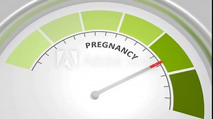 Meter scale with arrow. The pregnancy development measuring device display. Tachometer, speedometer or indicator. Infographic gauge element. Health care concept