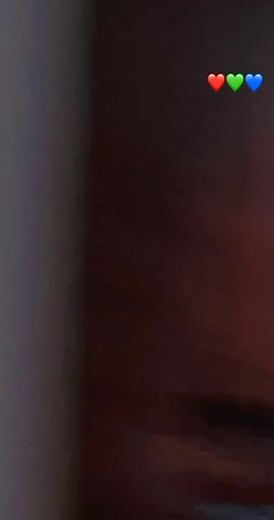 Indoor Interaction Clips Featuring Diverse Activities