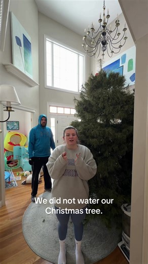 Removing a Trouble Tree in the Yard