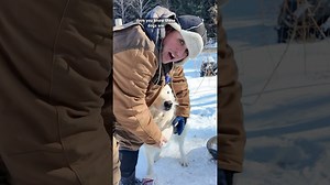 PSA: Why I Grease My Dog’s Paws in Winter