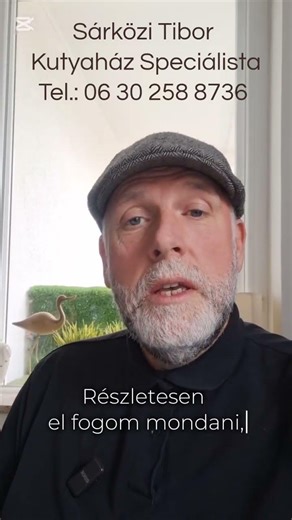 Hopp, egy tervezési hiba! #kutyaháztervezés #kutyakomfort #szakértő #dogcaretips #kutyatartás