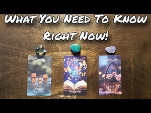 🌻🧡 What You Need To Know Right Now! Pick A Card Reading