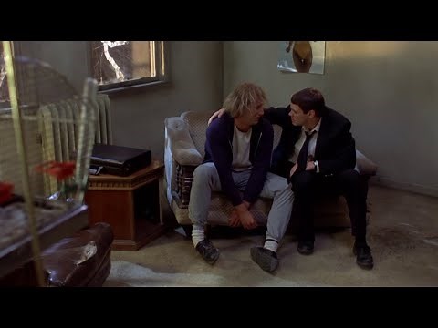 Dumb and Dumber - His head fell off