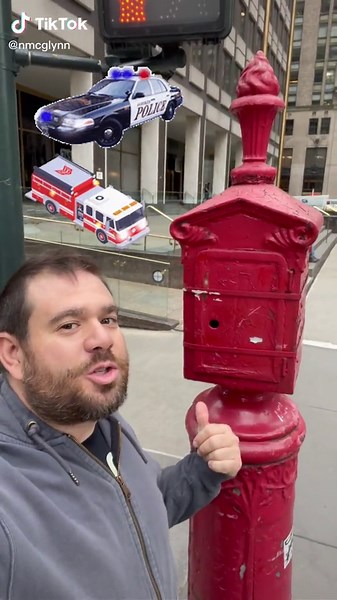 Fascinating Facts About NYC Police and Fire Call Boxes