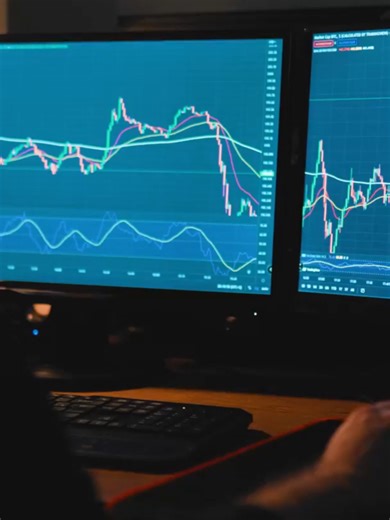 cyberpython0 on TikTok