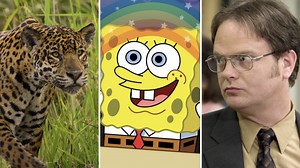 The best series to use as background noise while social distancing