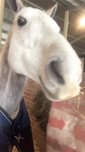 Videos de Sandra Herrera (@sandraherrera248) con “sonido original - Rolitas_chidas”