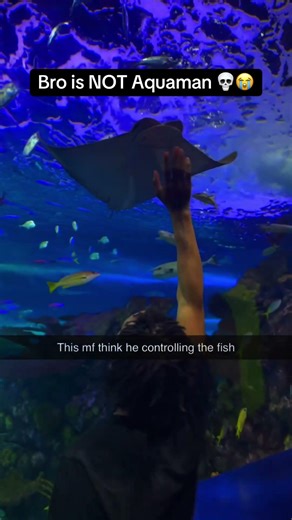 Bro might be aquaman 😭😭😭 #memesdaily #meme #memes #funny #friends #vlog