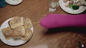 PBS Sprout Kindness Counts with Barney