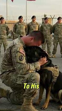 Wounded Soldier Reunites with Loyal Dog in Hospital – Instant Tears! 😭🐕❤️