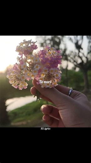 Mahiya mere mahi❤️✨ Aesthetic song feel like ❤️✨ #songedit #love #hindisongs #lovingvibes #song
