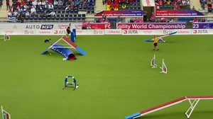 33K views · 1.3K reactions | Team Germany  Wins Gold磊 This small team performance placed second in agility and first (gold) combined. We have our first set of World Champions for 2023! Congratulations to Belgium  on silver賂 and Hungary  on bronze 雷. | Bad Dog Agility | Facebook