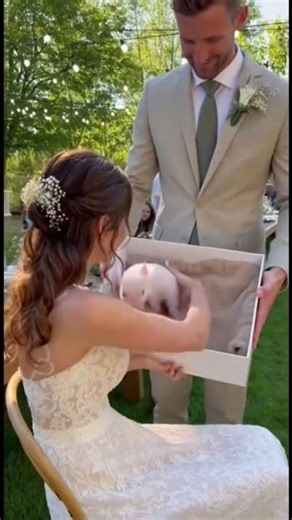 Sweetest wedding gift from sweetest husband! 😊🐷#piggy #wedding #weddinggift #bride #pet