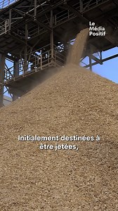 Cette impressionnante maison a été entièrement construite grâce a une imprimante 3D ! | Le Média Positif