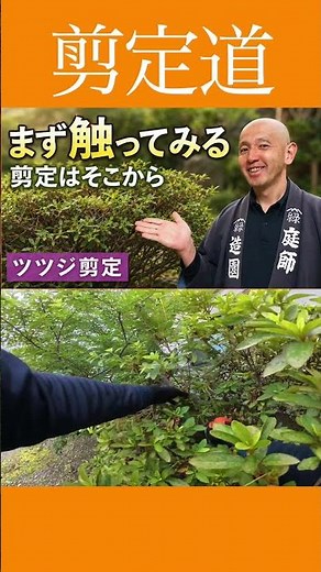 Pruning Basics: Start Here. You’ll Improve Instantly Once You Realize It’s Not Just About Cutting...