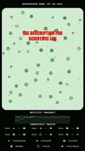 Flagellate Velocity Surges and Swarm Kinetics Analysis