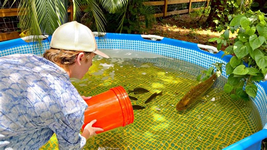 FEEDING MY NEW PET BASS!!