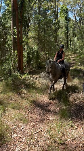 Happy days at Ridgeview 🩷 | Ridgeview Equestrian
