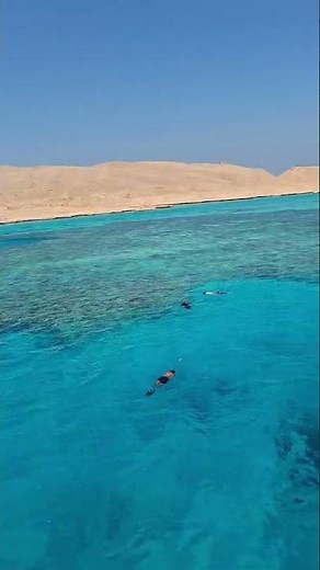 Snorkeling Adventure, Red Sea, Egypt Tours Club from Fernanda F. 🇪🇬