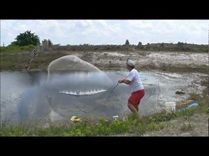 GOLDEN SHINER GOLD MINE - THROWING A BIG CAST NET FOR LIVE FISHING BAIT - HD