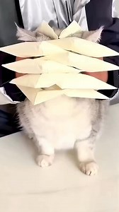 Wolf claws|| how to make paper wolf claws #shortsreels #paperart #diyprojects #crafting #diy | epic diy project