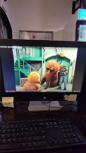Sesame Street Snuffy Says No No No