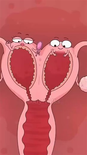 3K views | Ever heard of Uterus didelphys? It is a rare congenital condition where a woman is born with two uteruses. It’s commonly called a double uterus. It can cause pregnancy complications and painful menstruation. Some people have surgery to treat uterus didelphys, but most cases don’t require treatment. Would you like us to share more information on this? Respond with an emoji in the comment section and we will in our next post. | Ask_DrSeyi | Facebook