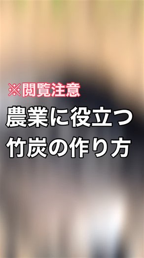 1.6K views · 124 reactions | 【永久保存版】竹炭作りの最初から最後まで...