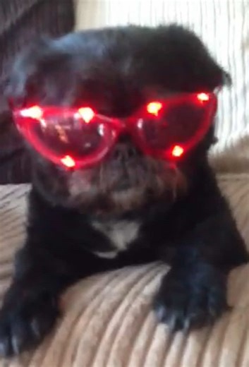 Gary’s glasses are good hers are better. How impressed do you think she looks 🤣