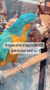 279 reactions · 47 shares | Exclusive All Natural Toys Handmade by the BirdTricks Team. Get Yours Today! | BirdTricks | Facebook