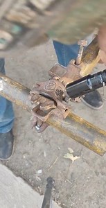 The Standard of Excellence: Achieving the Perfect Level 🎓📏