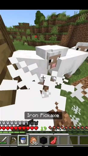 I want white wool ⬜🏳️||#shorts #video #shortvideo