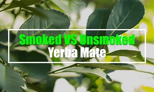 Smoked VS Unsmoked Yerba Mate (Is It Healthier?)