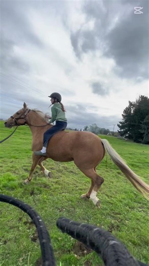 First time ever cantering London she so bouncy also moments before disaster struck🫣