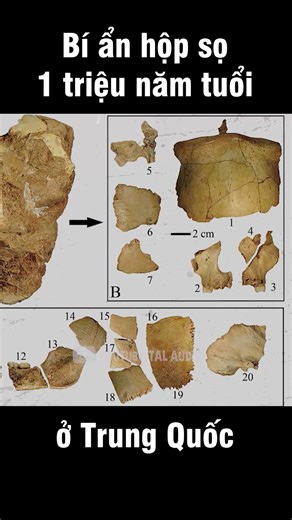 The story behind the shocking 1 million year old skeleton: Do Chinese people have their own ances...