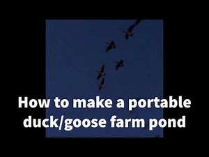 How to make a portable duck/goose farm pond!