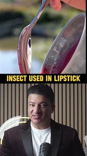 What's inside lipstick - You won't understand after watching this video 😱 #truth