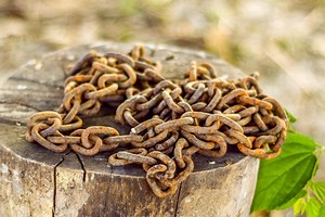 Stump Pulls: What Grade Chain Works Best to Remove? | Heavy Machinery World