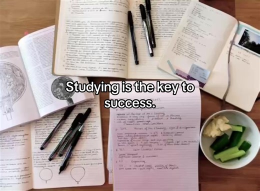 The Importance of Studying for Success